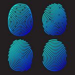 Identity Identity