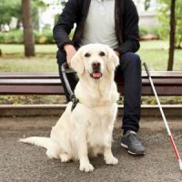 ServiceAnimal ServiceAnimal